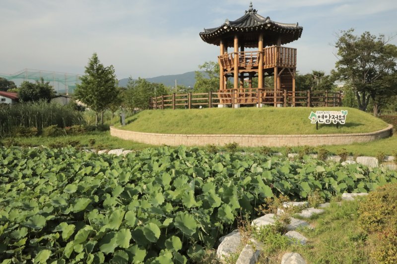 6일 찾은 울산 북구 연암정원 모습.2025.7.6./뉴스1 김세은 기자