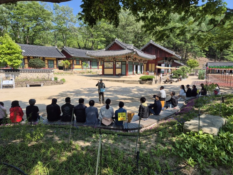 국립공원공단 주왕산국립공원사무소는 6일 산불로 피해를 입은 주왕산국립공원 일원에서 '지역 연계형 생태관광 프로그램'을 운영한다고 밝혔다. (국립공원공단 주왕산국립공원사무소 제공. 재판매 및 DB 금지)/뉴스1