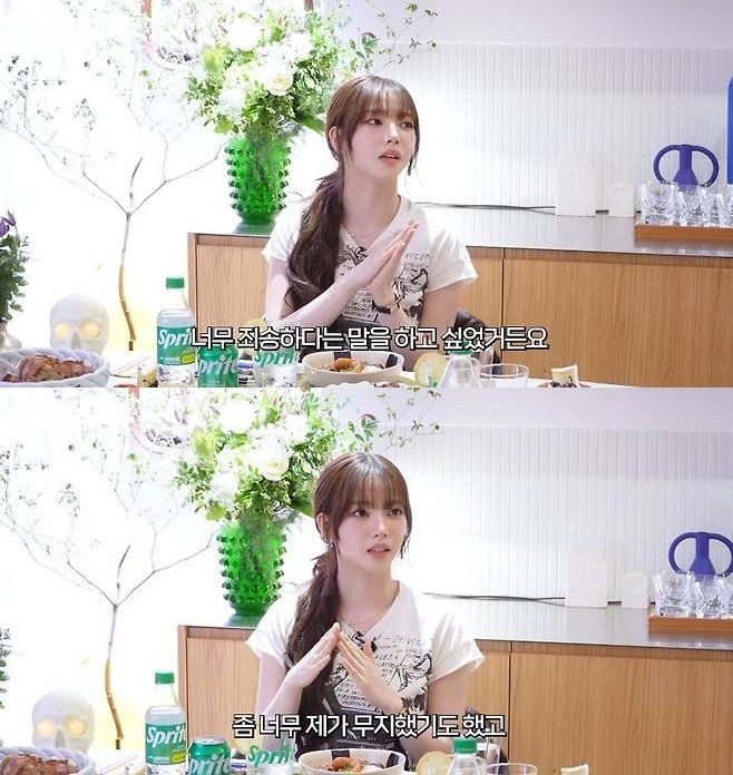 '정치색 논란'에 입 연 카리나…"쌀쌀해서 사 입은 옷, 무지했다"