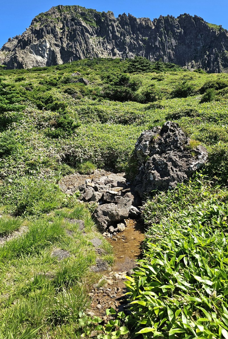 [제주=뉴시스] 임재영 기자 = 6일 오전 한라산 백록담 분화구 남벽 부근 제2방아샘에서 물이 계속 흘러나오고 있다. 제1방아샘(방아오름샘)과는 5~7m 가량 떨어져 있다. 2025.07.07. ijy788@newsis.com