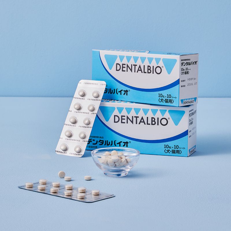 덴탈바이오 이미지. 삼천당제약 제공.