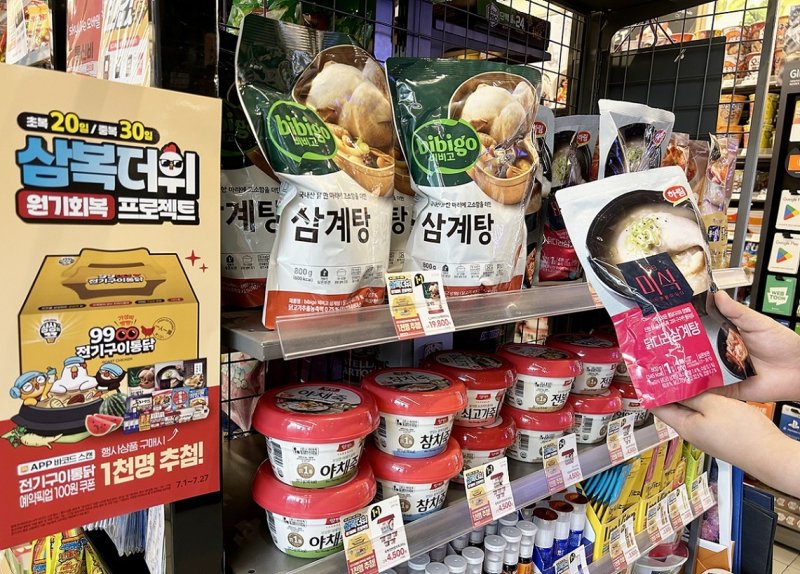 (라이브 바카라사이트 제공)