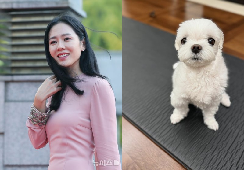 '현빈♥' 손예진, 육아 힘들어 "밥·간식도 먹였는데 왜…"