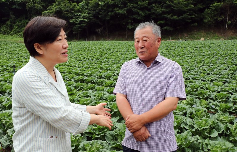 [평창=뉴시스] 강종민 기자 = 송미령 농림축산식품부 장관이 6일 강원 평창군 여름배추 재배현장을 찾아 생육 및 출하 상황을 점검하고 있다. (사진=농식품부 제공) 2025.07.06. photo@newsis.com *재판매 및 DB 금지