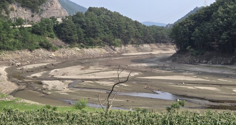 강릉시, 가뭄 대응&middot;생활용수 확보 총력..물 절약 실천 동참 호소