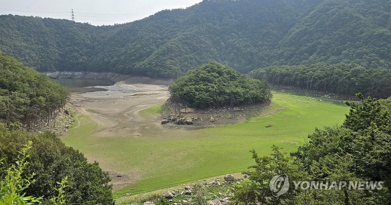 바닥 드러낸 강릉 식수원 오봉저수지 상류 (출처=연합뉴스)
