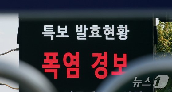 자료사진/뉴스1