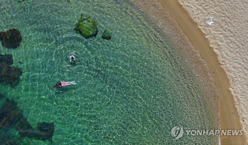시린 바다에서 폭염 탈출 (출처=연합뉴스)