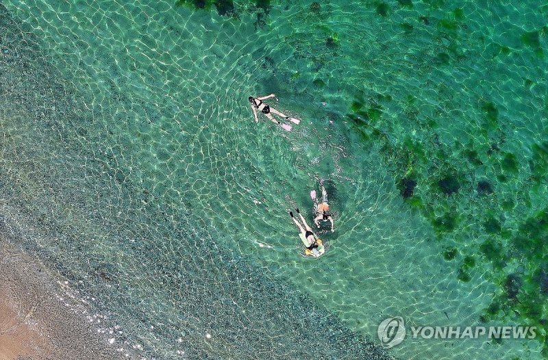 폭염 속 해수욕 (출처=연합뉴스)