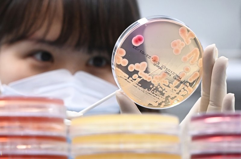 [수원=뉴시스] 김종택기자 = 집중호우와 폭염이 반복되는 날씨로 인해 전국적으로 식중독 발생 신고가 잇따르고 있는 19일 경기도 수원시 권선구 경기도보건환경연구원에서 연구원들이 식중독균 배양분리작업을 하고 있다. 2022.07.19. jtk@newsis.com