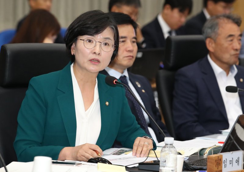 임미애 더불어민주당 위원. 뉴스1 ⓒ News1 자료 사진