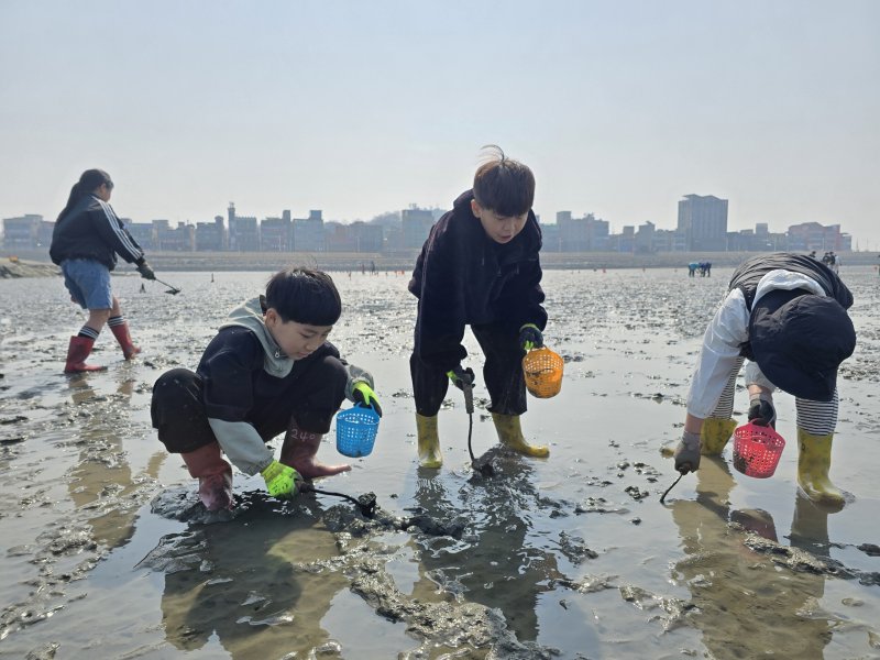 [시흥=뉴시스] 갯벌 체험에 참가한 어린이들이 조개 캐기를 하고 있다. (사진=온라인바카라 제공).2025.07.07.photo@newsis.com *재판매 및 DB 금지