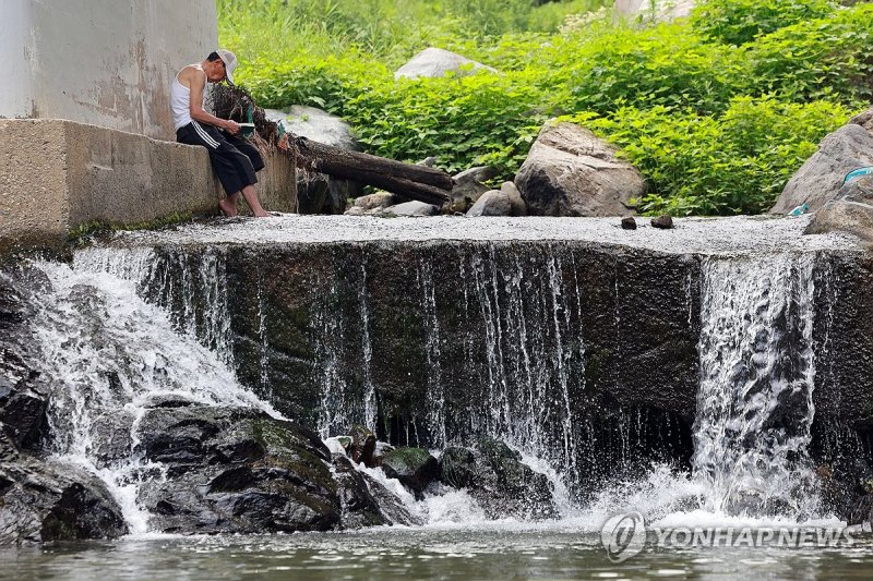 더위 피하며 독서 (출처=연합뉴스)