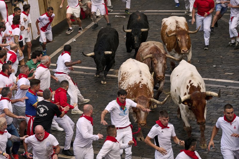 [팜플로나=AP/뉴시스] 7일(현지 시간) 스페인 팜플로나에서 열린 연례 산 페르민 축제 중 황소와 달리기(엔시에로) 참가자들이 골목길을 달리고 있다. 2025.07.07.
