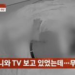80대 치매 노모 성추행한 범인의 소름 돋는 정체, 알고 보니...