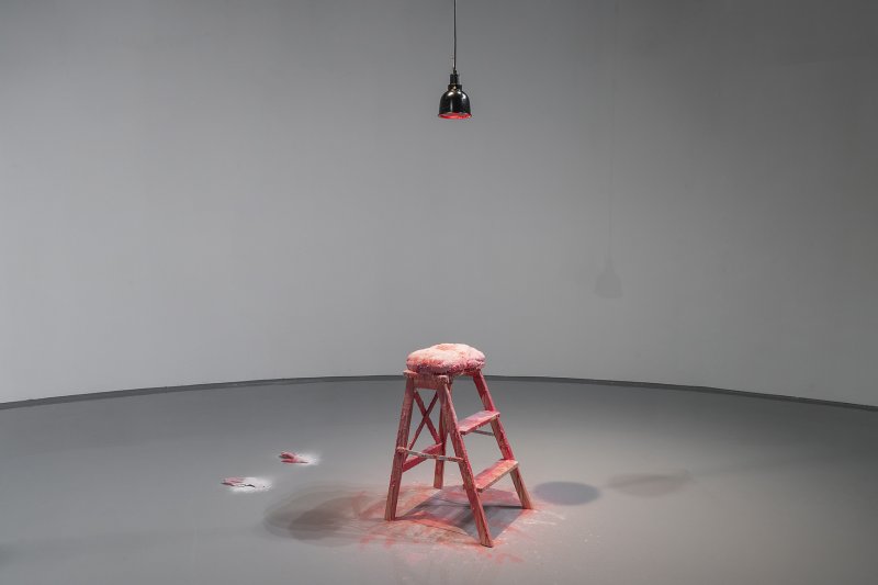 박나라, Repose, 2024, 밀랍, 치즈, 사다리, 베이비 파우더, 적외선 램프, 가변크기 (서울시립미술관 제공)