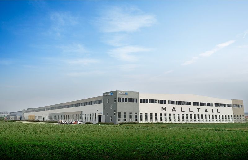 커넥트웨이브 몰테일, 아마존 프라임데이 이벤트