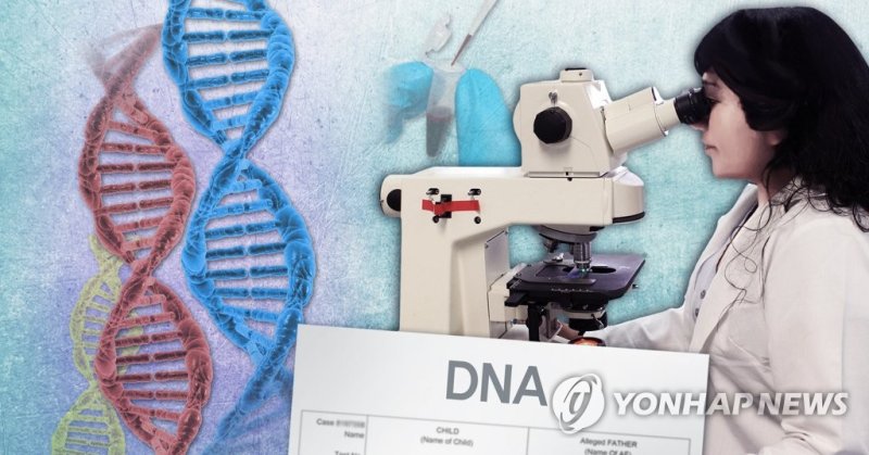 DNA 감정 (PG) (출처=연합뉴스)