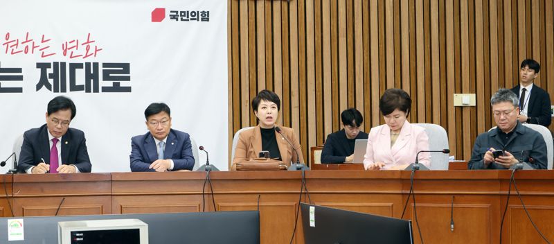 [영상] 김은혜 “전승절 불참하고 한·미 관세 협상 준비”