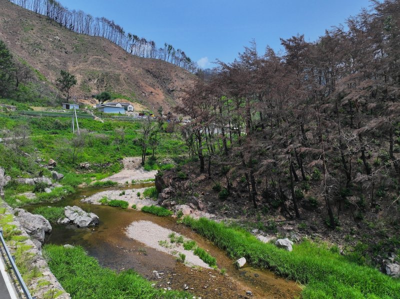 황량한 영양 삼의계곡 (출처=연합뉴스)