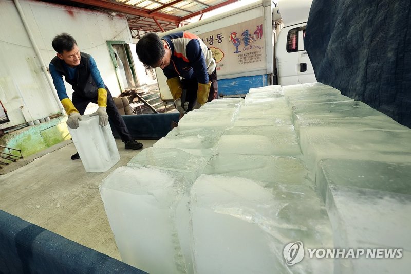 폭염 속 분주한 얼음공장 (출처=연합뉴스)