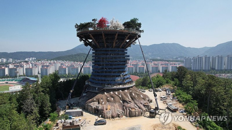 창원 대상공원 '빅트리' (출처=연합뉴스)