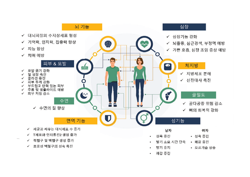 성장호르몬 장애와 관련된 질환은? [안철우 교수의 호르몬 백과사전]