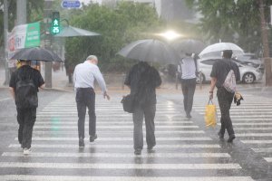 최신 뉴스 이미지