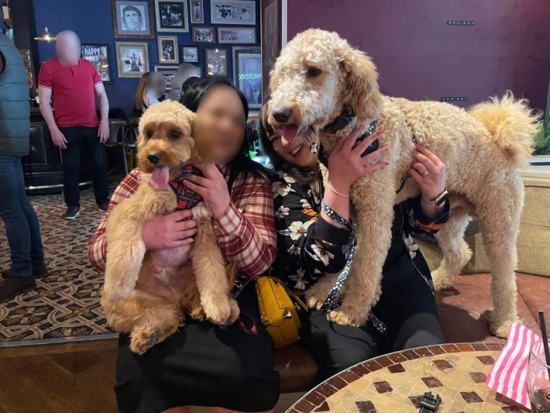 다 자라도 10㎏라더니…45㎏ 초대형견 '폭풍 성장' 무슨 일?