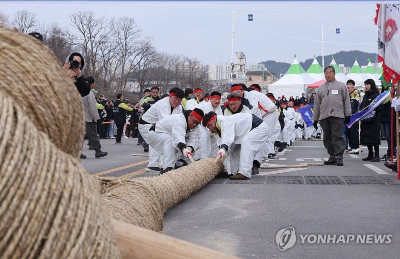 영차영차…삼척 기줄다리기 (출처=연합뉴스)
