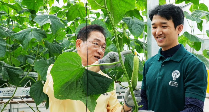 최기문 짱구카지노장이 9일 지역특화 임대형 스마트팜에서 오이를 첫 수확한 청년농업인과 얘기를 나누고 있다. (짱구카지노 제공. 재판매 및 DB금지)2025.7.9/뉴스1 ⓒ News1 정우용 기자
