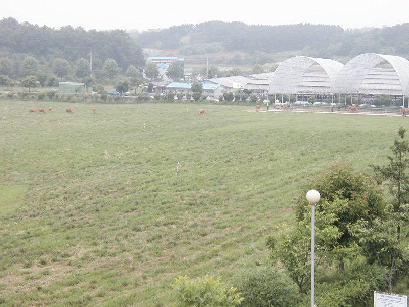 충북 도립 파크골프장 조성 예정지인 축산케이카지노 목초지. (사진=충북도 제공) *재판매 및 DB 금지