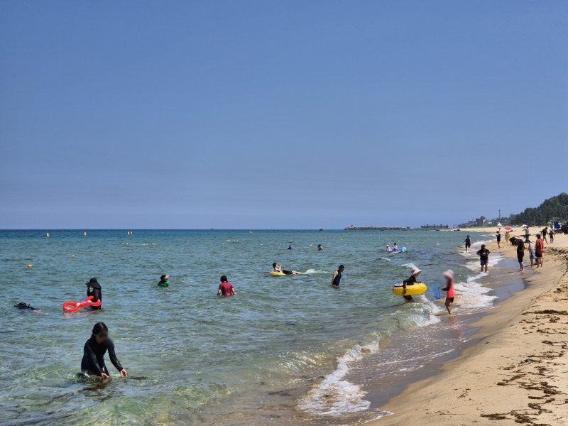 9일 개장한 강원 동해시 망상해수욕장을 찾은 피서객들이 물놀이를 즐기고 있다. 2025.7.9/뉴스1 윤왕근 기자