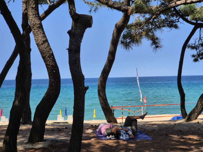 9일 강릉 송정해변을 찾은 시민과 나들이객들이 솔밭 그늘에서 무더위를 식히고 있다. 2025.7.9/뉴스1 윤왕근 기자