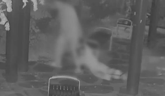 [뉴시스] 서울 한강공원서 7살 딸을 폭행, 질질 끌고 가는 아빠. (출처=채널A) *재판매 및 DB 금지