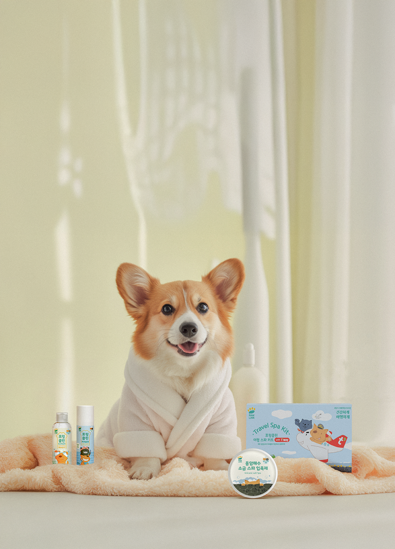 티웨이항공 "반려동물은 소중하니까"… 동반 탑승객 이벤트