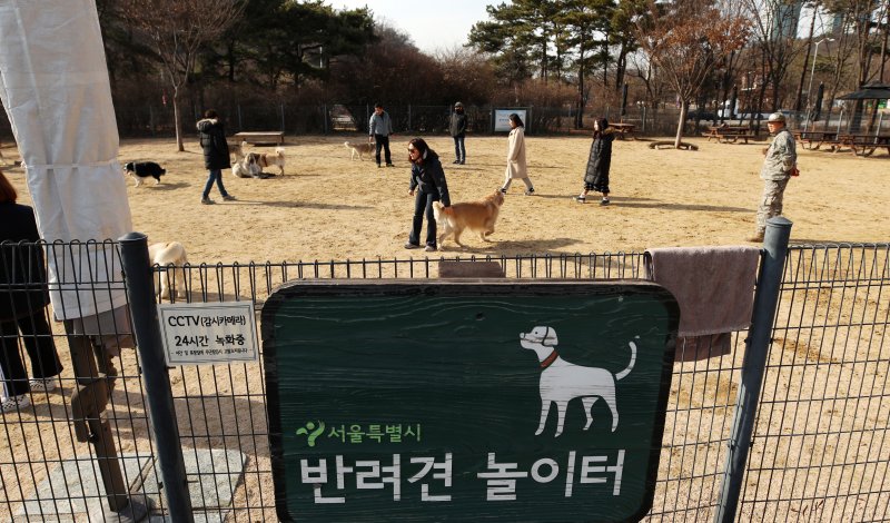 서울 마포구 월드컵공원에 마련된 반려견 놀이터에서 반려견들이 뛰어놀고 있다. 2018.3.6/뉴스1 ⓒ News1 구윤성 기자