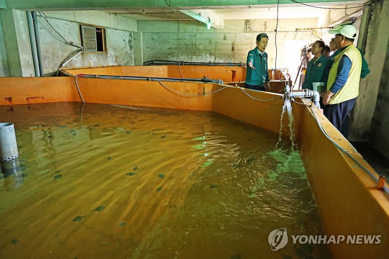 지난해 고수온 피해 양식장 찾은 포항시장 (출처=연합뉴스)