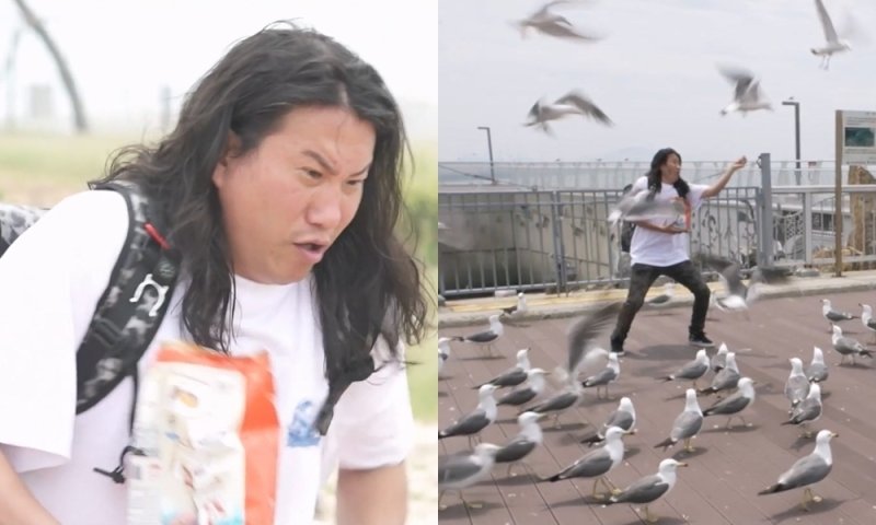 '나혼산' 임우일, 갈매기 떼 포위됐다…공격에 비명 [N컷]