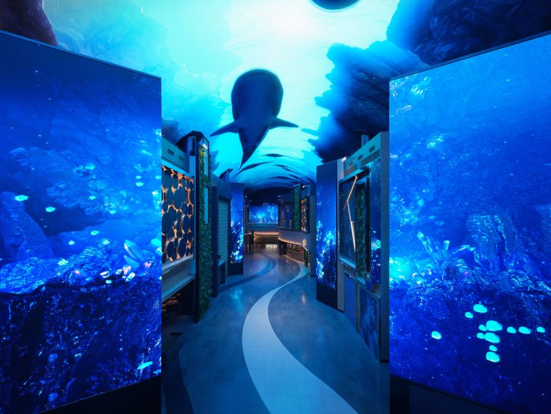 유리 돔 아래서 하늘 보며 물놀이… 시원한 파도 타고 ‘무더위 탈출’ [Weekend 레저]