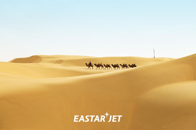 이스타항공 제공