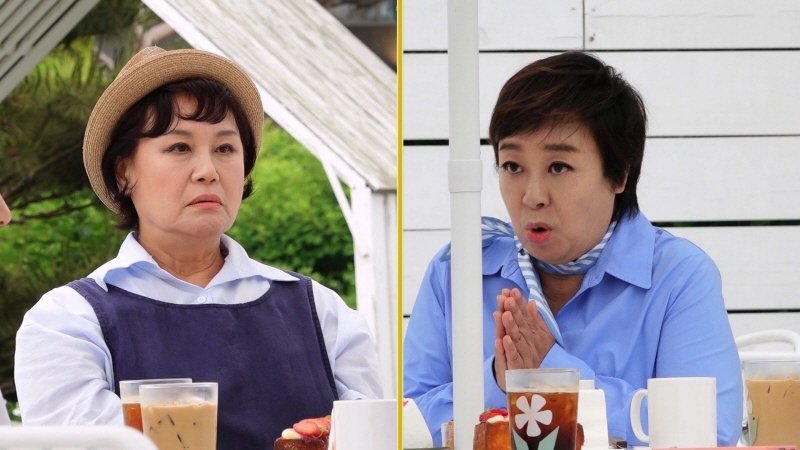 '같이 삽시다' 박원숙, 혜은이와 갈등에 오열 그만둬야겠다