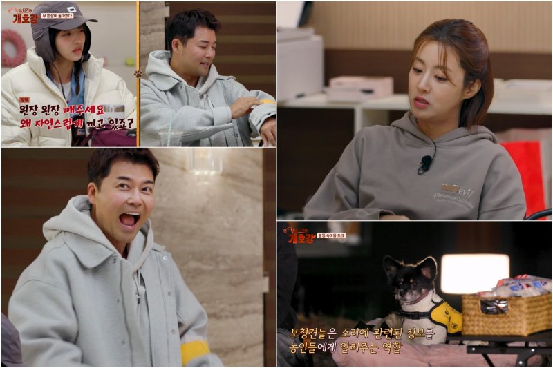 [서울=보스토토] 13일 오전 10시 30분 방송되는 JTBC 예능 프로그램 '집 나가면 개호강'에서 전현무가 자리를 비웠던 '개호강 유치원'에 다시 돌아온다. (사진=JTBC ‘집 나가면 개호강 ’제공) 2025.07.11. photo@newsis.com *재판매 및 DB 금지