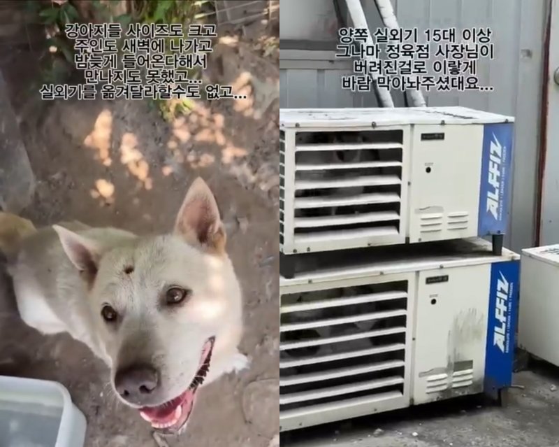 [아귀카지노] (사진=유튜브 갈무리)
