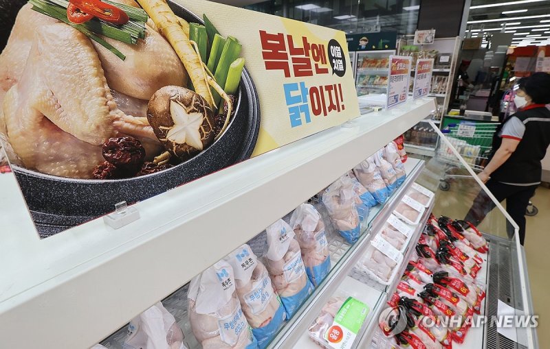 대형마트에 진열된 닭고기 (출처=연합뉴스)