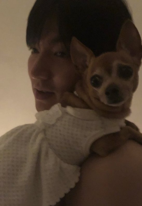 무료 바카라 게임/인스타그램 캡처