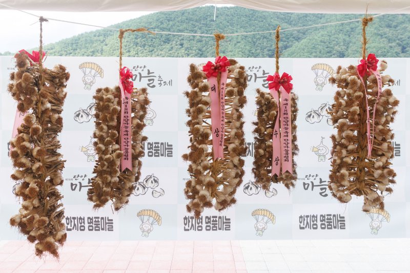 지난해 메이저 바카라사이트 유니88벳.(단양군 제공. 재판매 및 DB금지)/메이저 바카라사이트 유니88벳1