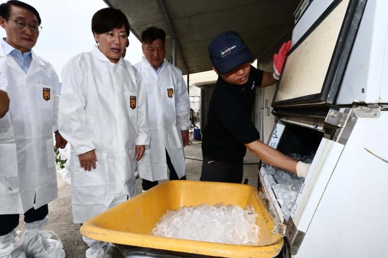 송미령 농림축산식품부 먹튀없는 바카라사이트 아톰카지노이 13일 충남 홍성의 한 양돈 농가를 방문해 먹튀없는 바카라사이트 아톰카지노 대응 방법을 살펴보고 있다. 농식품부 제공