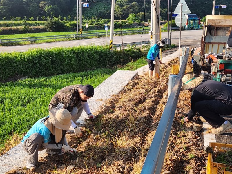 우석대학교 바카라 카드카운팅 '그린나래'가 전북 임실군 백년마을에서 화단을 가꾸고 있다.(임실군제공. 재판매 및 DB금지)2025.7.13/뉴스1