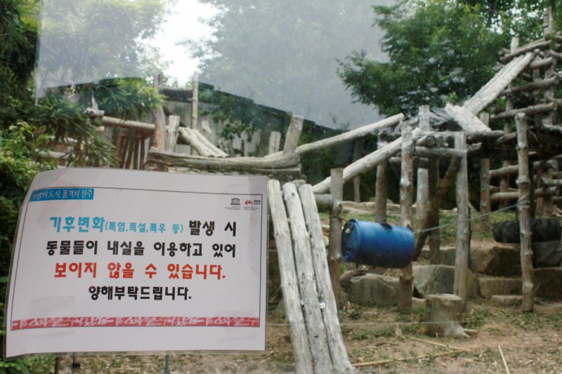 13일 오후 1시께 전북 전주실시간 바카라사이트에서 무더위에 지친 동물들이 방사장 대신 내실에 들어가 있다. 2025.7.13/뉴스1 ⓒ News1 신준수 기자